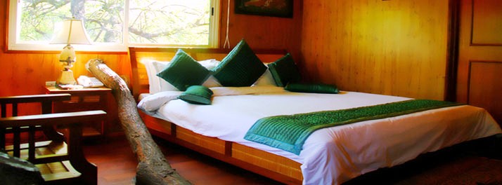 728/The Tree House & Water House Resort - Jaipur 08.jpg